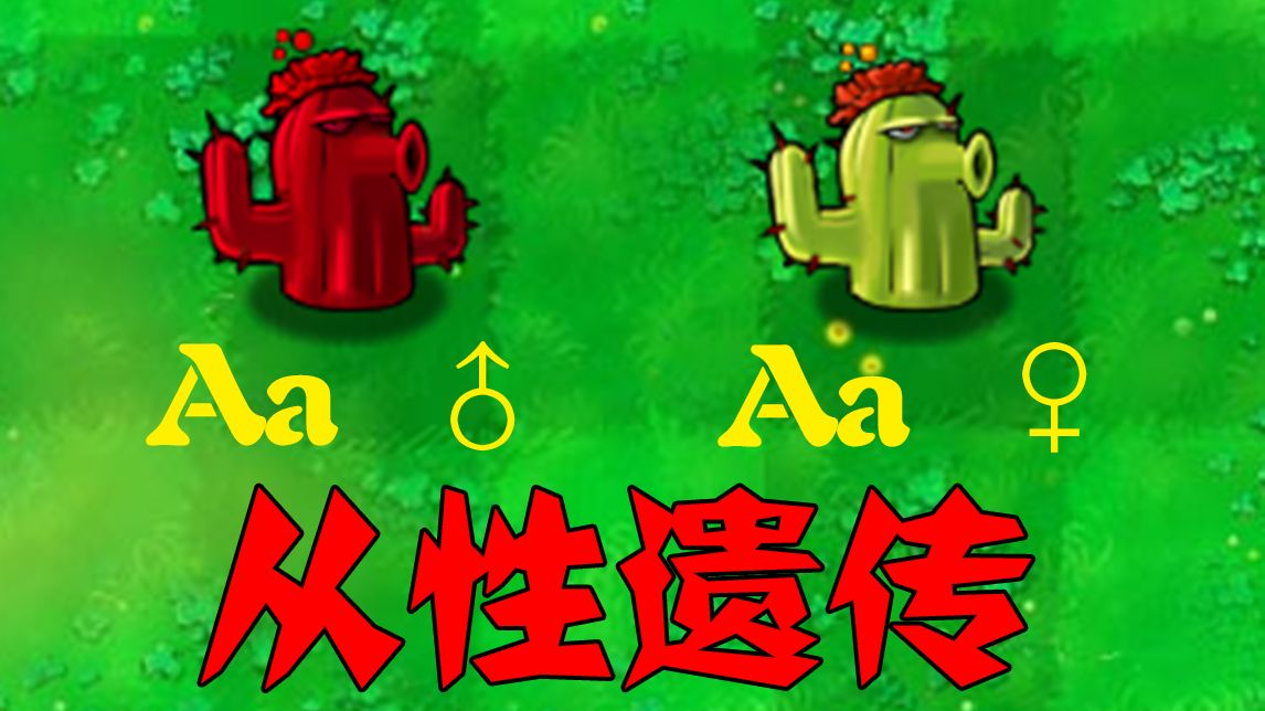 pvz:从性遗传!单机游戏热门视频