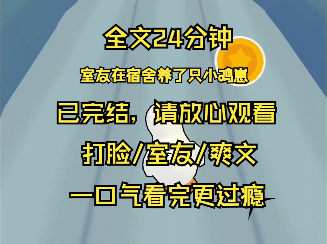 【已完结】室友周婷婷在宿舍养了只小鸡崽 不仅吵得我们睡不着 还害我们整天闻鸡屎臭 我让她把鸡送走 她却反过来指责我没有同情心 当天晚上 我直接送了...