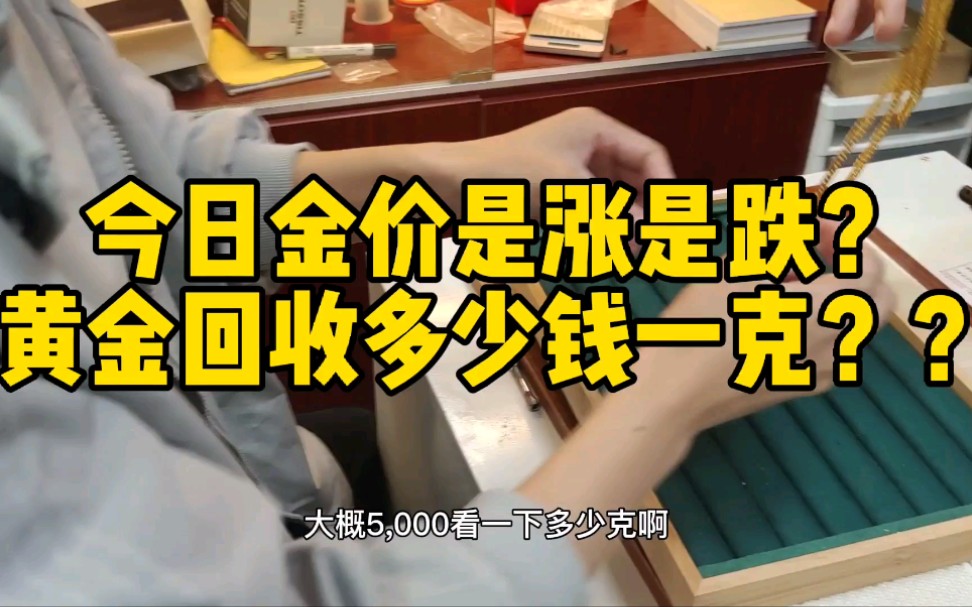 今日金价是涨是跌?黄金回收多少钱一克???哔哩哔哩bilibili