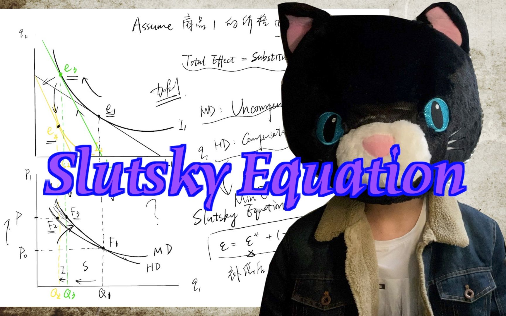 Slutsky Equation|为消费者理论收尾「中级微观经济学」——by Kestbon哔哩哔哩bilibili