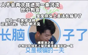 Download Video: 黄子：我家大哥和幺弟有病吧！！ | 跳地笑点cut