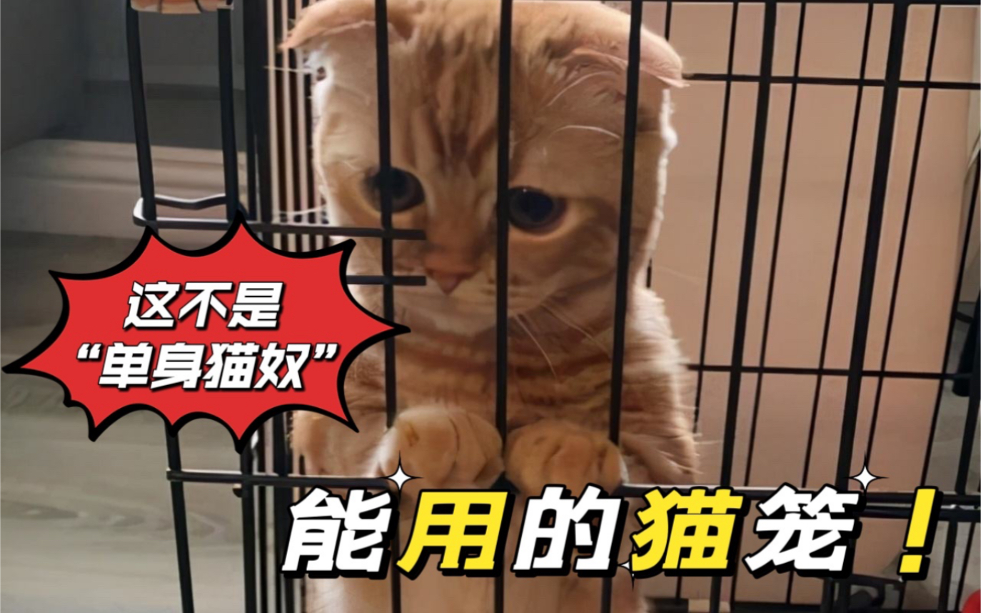 告诫:这款猫笼,不适合单身猫奴,千万不要使用哔哩哔哩bilibili