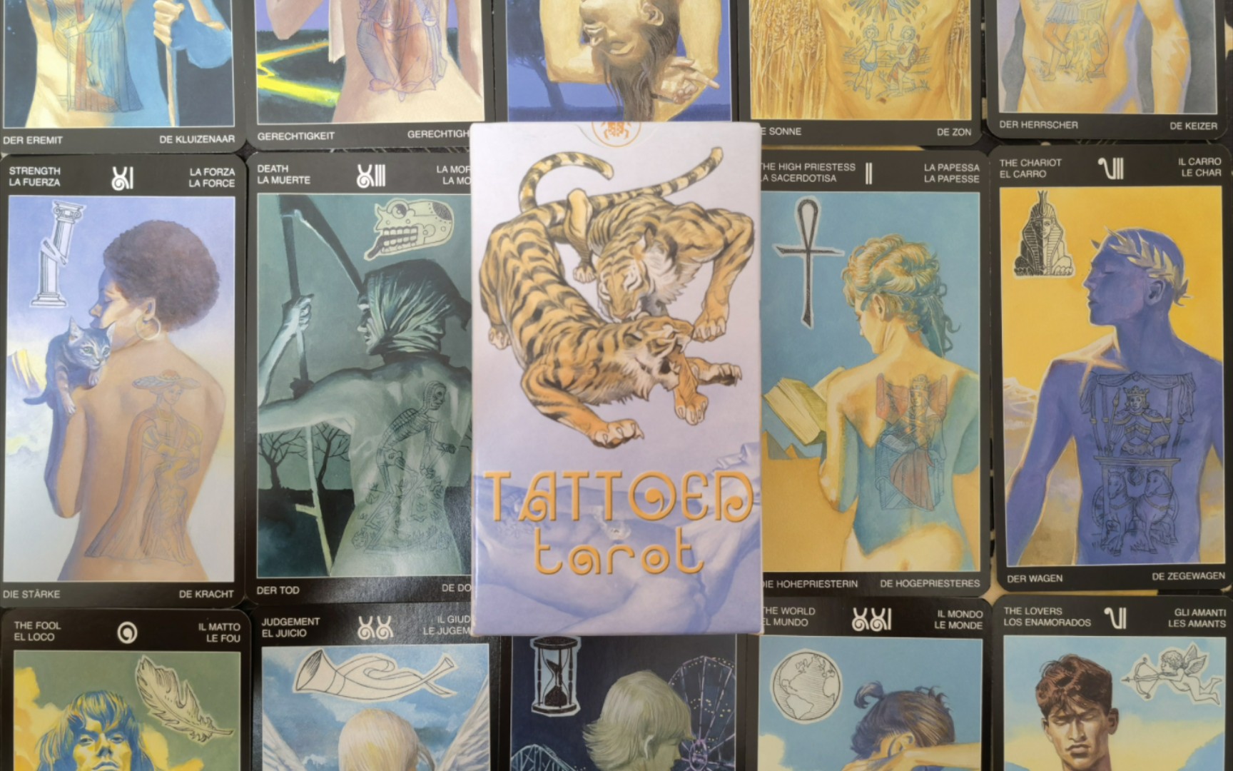 【绝版】纹身塔罗开箱 tattoed tarot哔哩哔哩bilibili