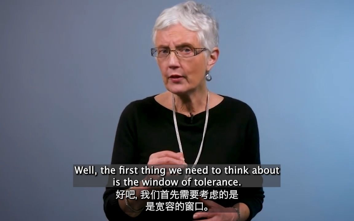 【油管搬运】 最佳的改变窗口期以及如何扩大窗口期 身体从未忘记作者分享如何帮助来访进入改变窗口期 中英双语字幕哔哩哔哩bilibili