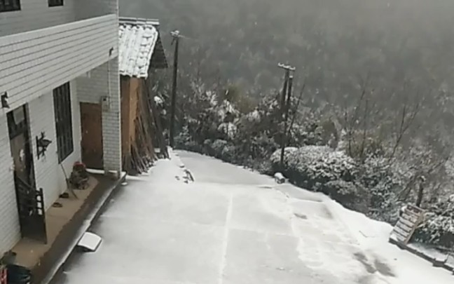 看下雪(衡山 岭坡 野莓谷风景区)哔哩哔哩bilibili