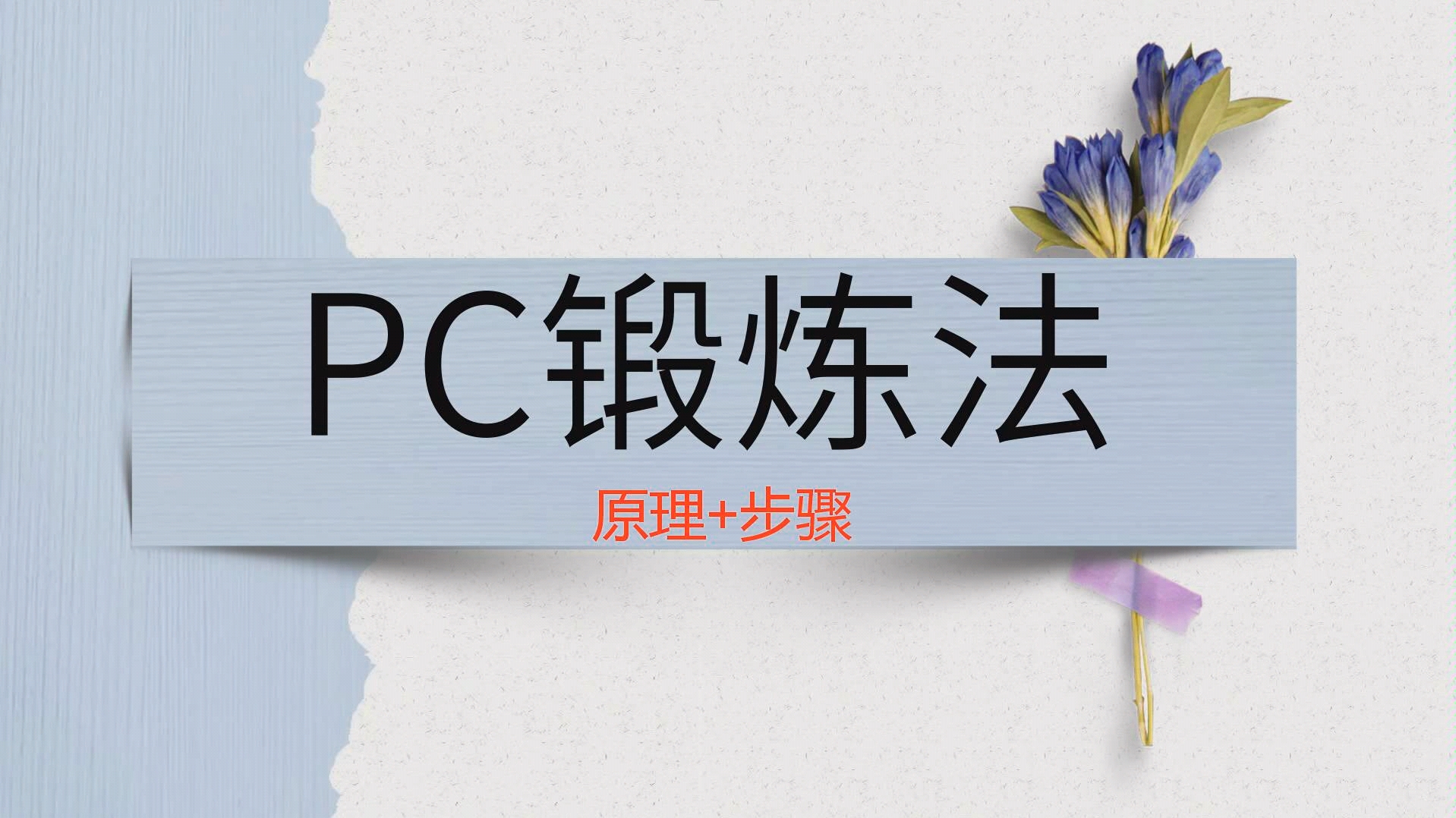 张旭锻炼法pc肌肉锻炼教学视频下载