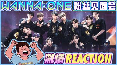 姜丹尼尔】171215-17 WANNA ONE PREMIER FAN CON IN SEOUL 尼宝是未来