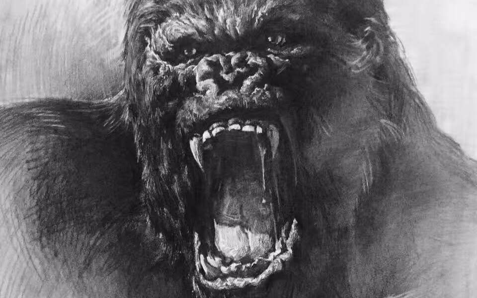 大猩猩素描画 凶猛图片