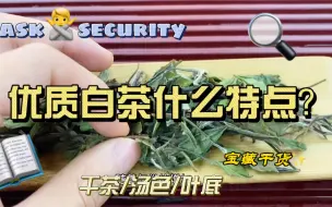 Download Video: 白茶的这些特点，是优质白茶的通用特点