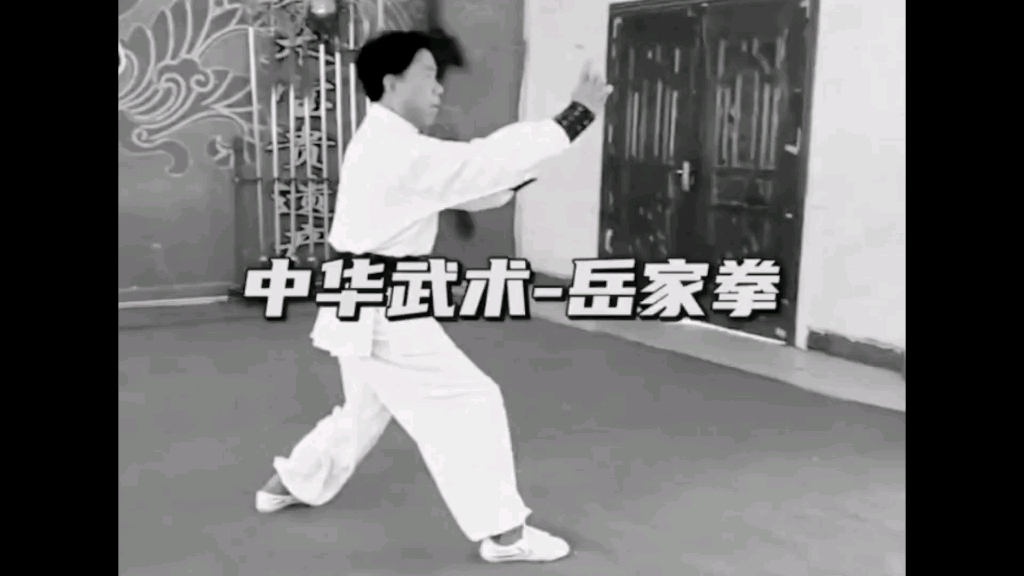 传统武术名拳~岳家拳 岳氏连拳哔哩哔哩bilibili