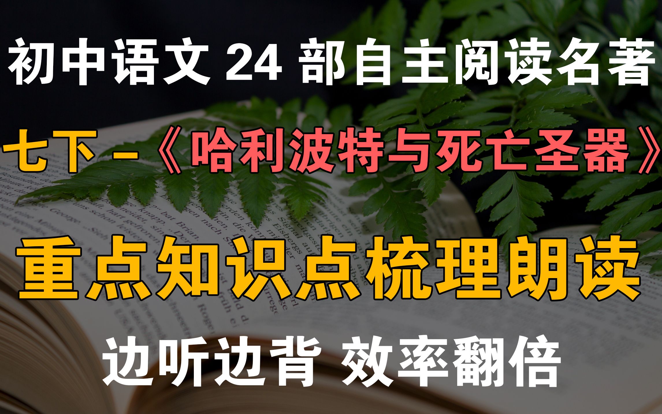 [图]初中24部自主阅读名著 知识点梳理朗读 七下-4《哈利·波特与死亡圣器》中考名著知识点梳理