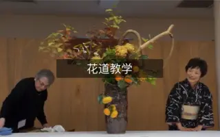 草月流花道 哔哩哔哩 Bilibili