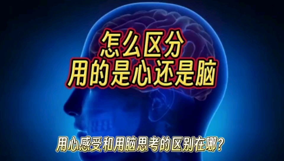 用心感受和用脑思考的区别在哪?哔哩哔哩bilibili