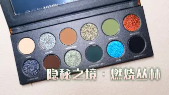 Download Video: 【KRYPTEIN COSMETICS】第一代眼影试色