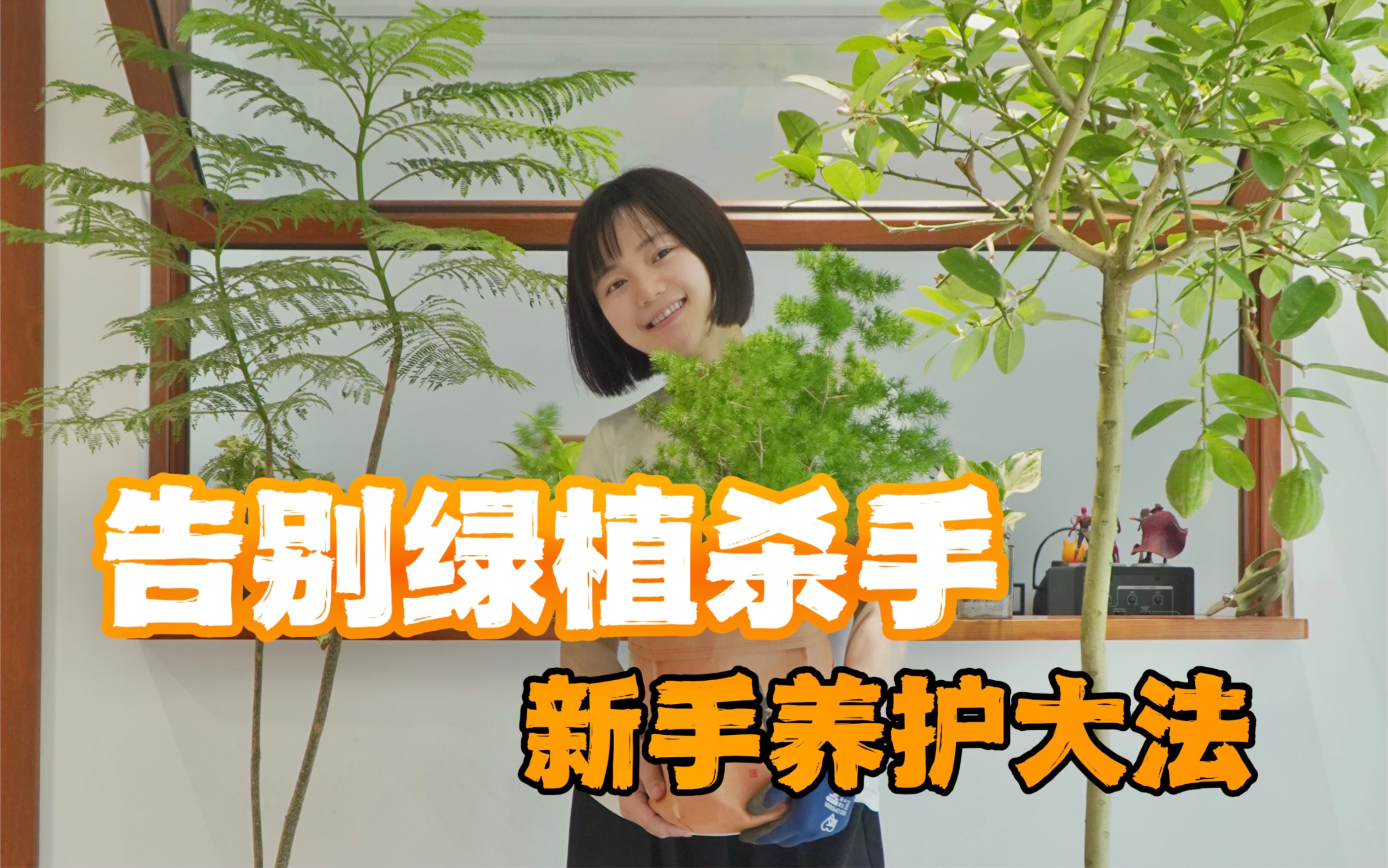 [图]网购绿植养护大法！告别植物杀手