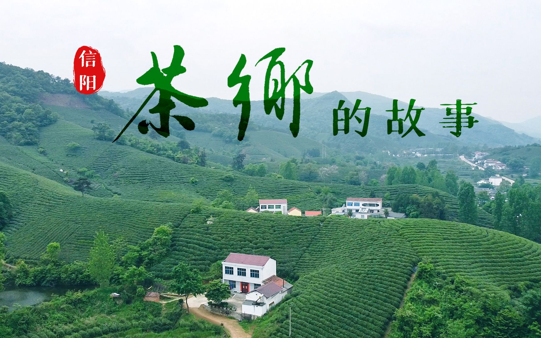 [图]淮河往事第三集：茶山上的生活