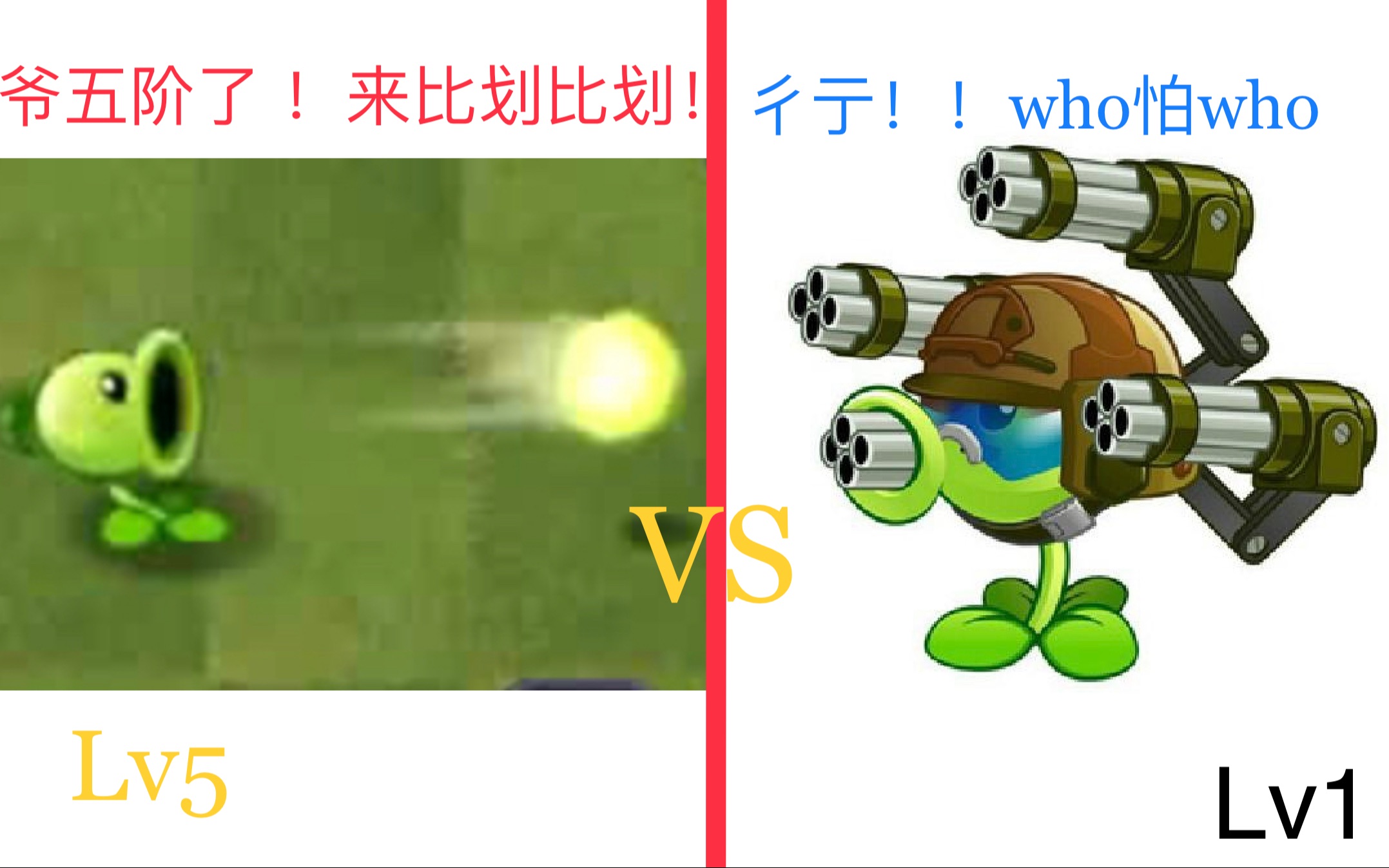 狙击豌豆vs机枪射手图片
