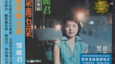 HOT，SALE ねJ0025【LP】鄧麗君(テレサ・テン)／雲深情也深【LP