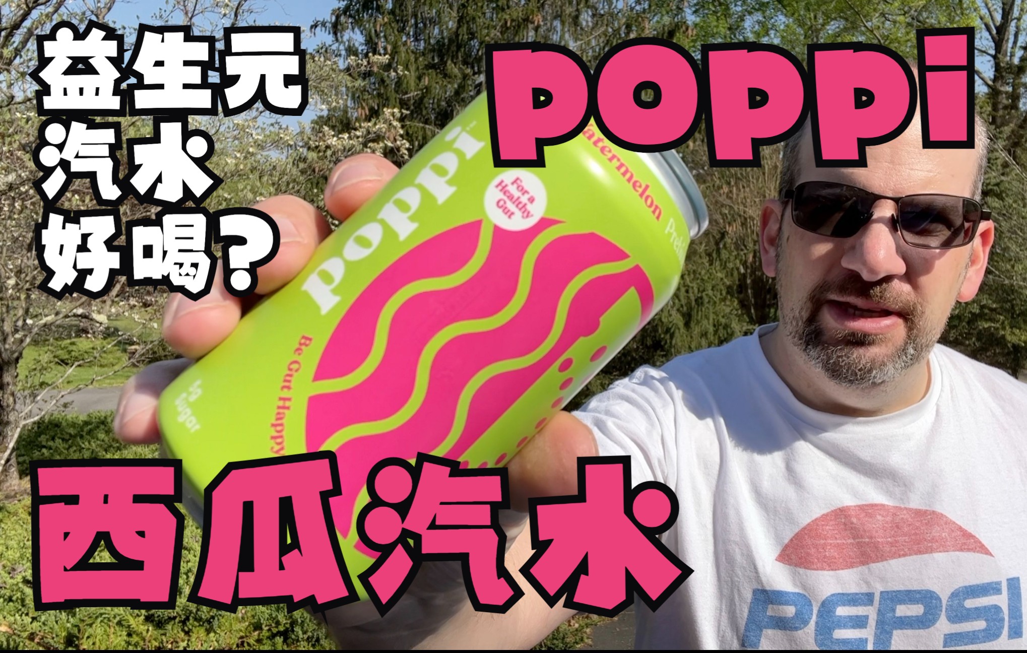 𐟍‰ poppi 益生元 西瓜汽水 饮料测评 【中文】poppi prebiotic sparkling watermelon soda review哔哩哔哩bilibili