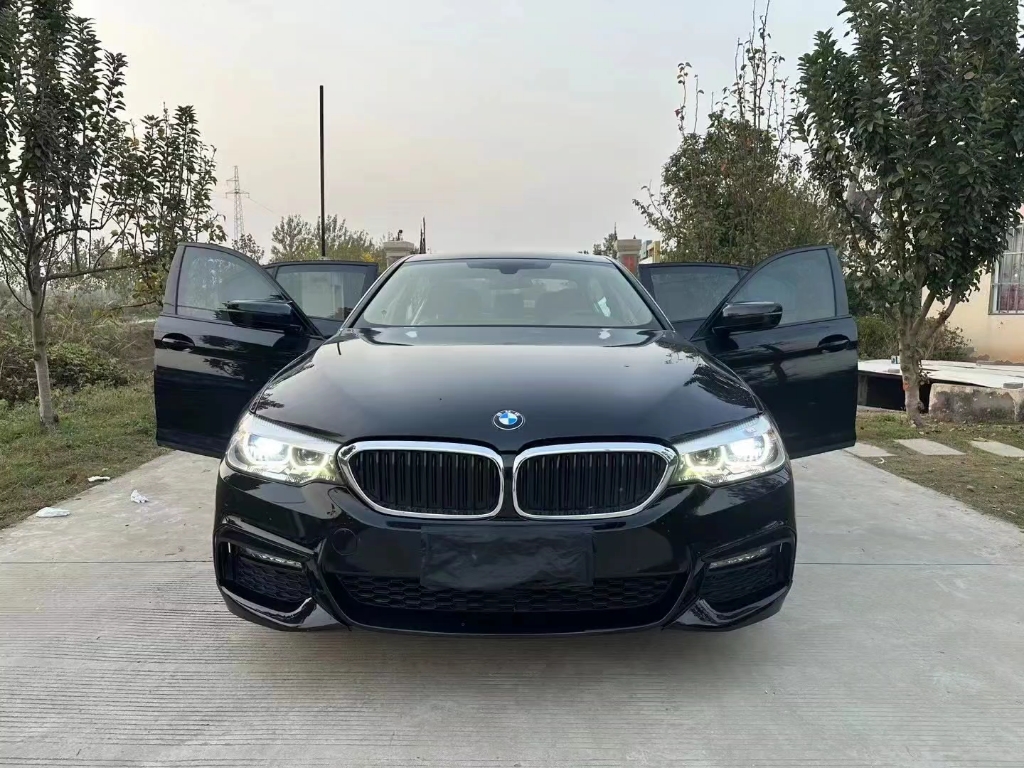 53w,19年宝马530li,2.0t自动至尊商务豪华