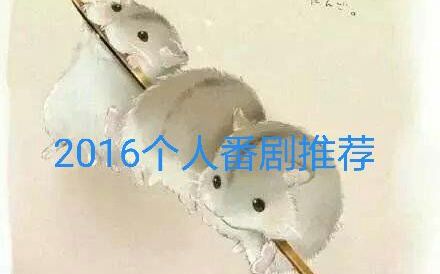 2016个人番剧推荐哔哩哔哩bilibili