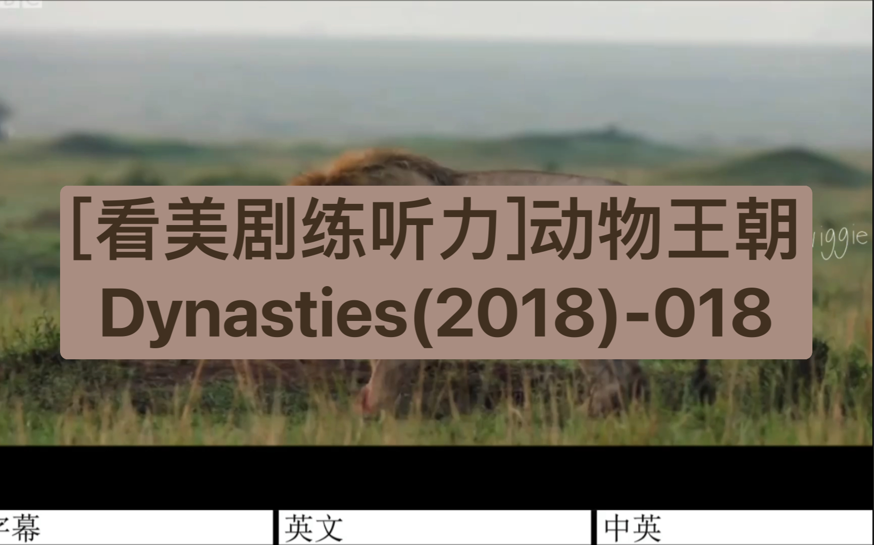 [图][看美剧练听力]动物王朝Dynasties(2018)-018