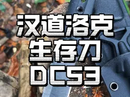 Download Video: 户外露营装备推荐好物，洛克系列升级款生存刀，DC53钢锋利切割作业、G10防滑手柄一体龙骨设计稳定使用，手柄轻量化设计减轻出行负担。#户外生存刀#汉道刀具#