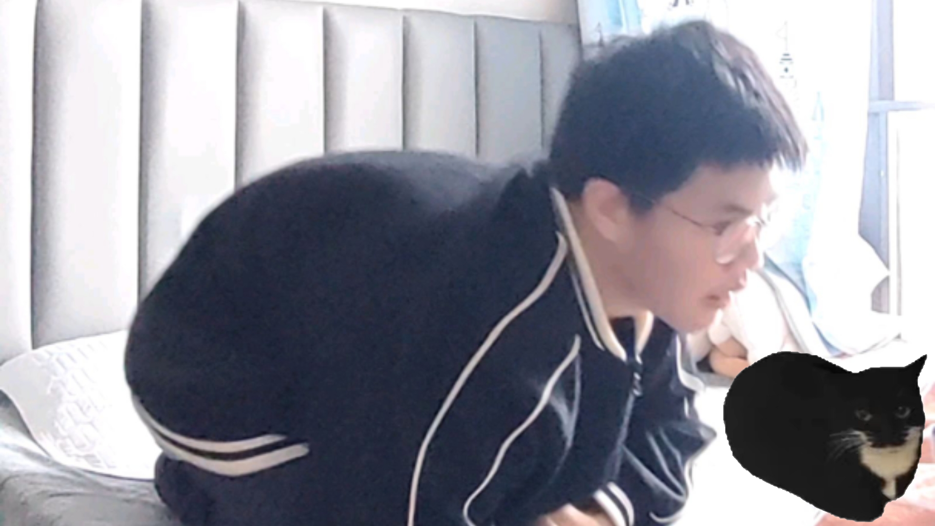 凑 猫 一 个(水💦)