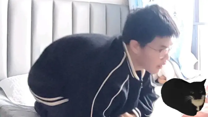 凑   猫   一   个(水💦)