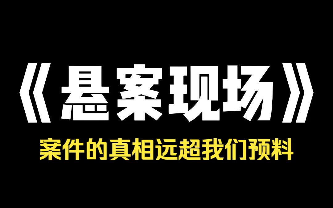 小说推荐~ 《悬案现场》案件的真相出乎我们所有人的预料哔哩哔哩bilibili