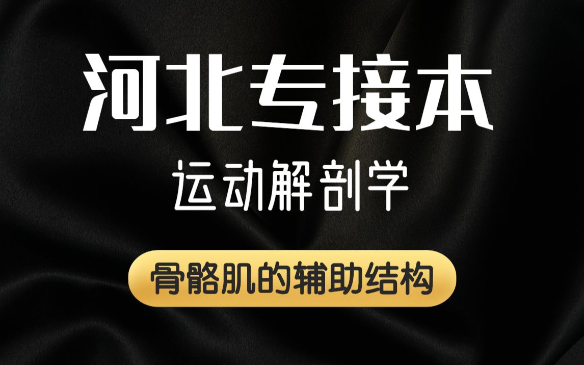 [图]【河北专接本】体育专业课程 运动解剖学《骨骼肌的辅助结构》