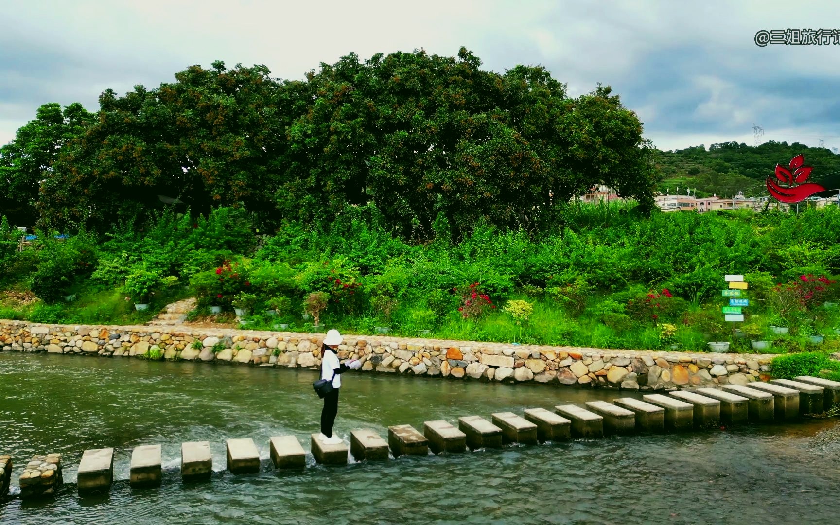 航拍厦门同安区汀溪镇古坑村,这里因千日红三角梅产业园而闻名