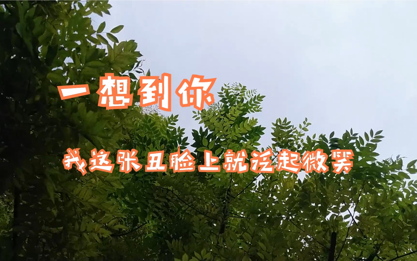 一想到你 我这张丑脸上就泛起微笑