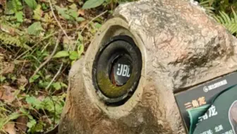 路边发现一个野生 JBL喇叭
