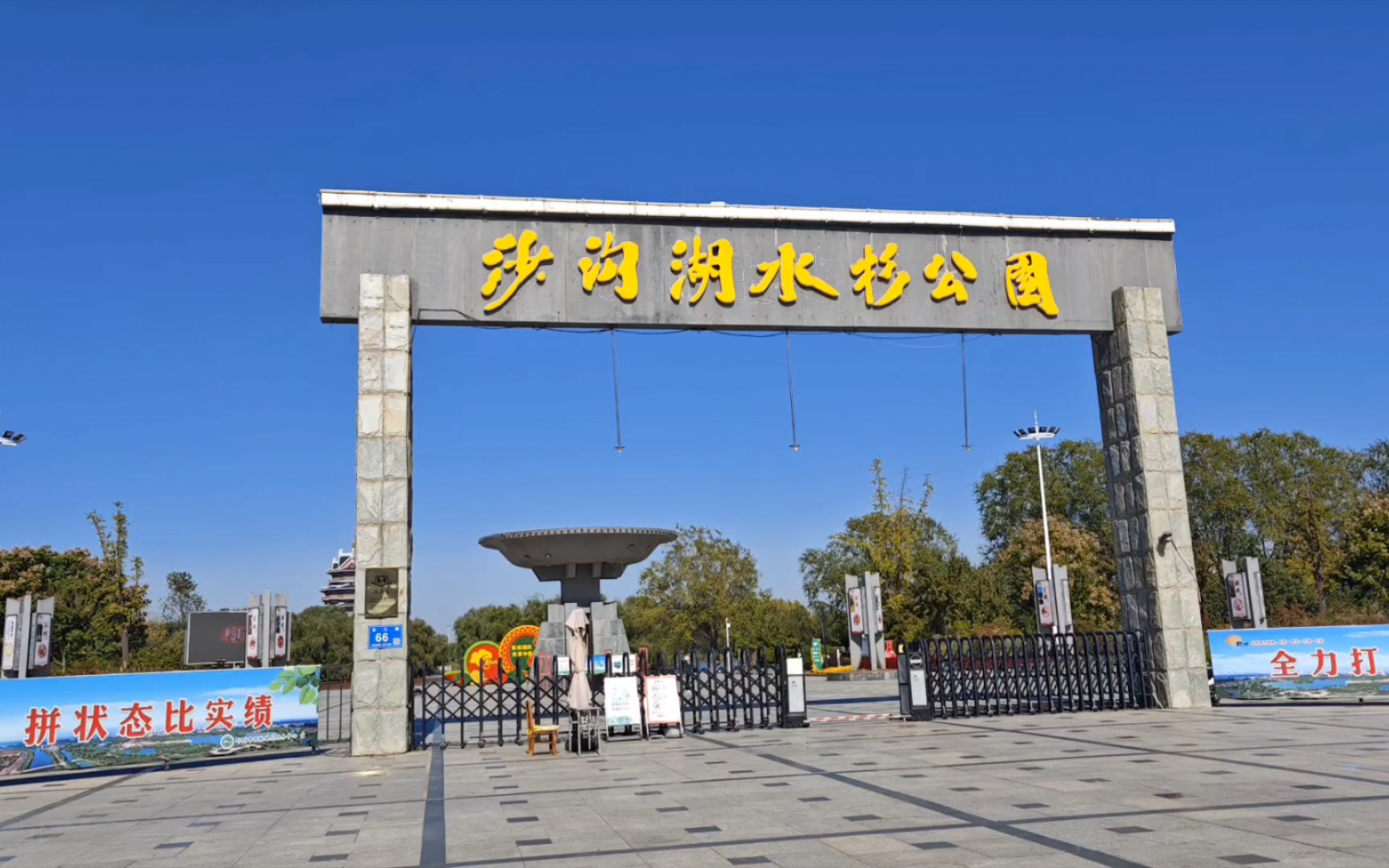 沙沟湖水杉公园