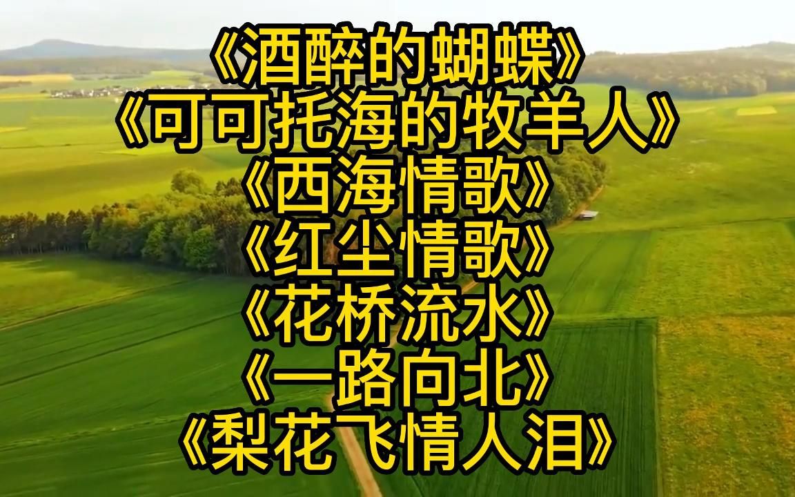 [图]王琪金曲<酒醉的蝴蝶><可可托海的牧羊人><西海情歌><红尘情歌>