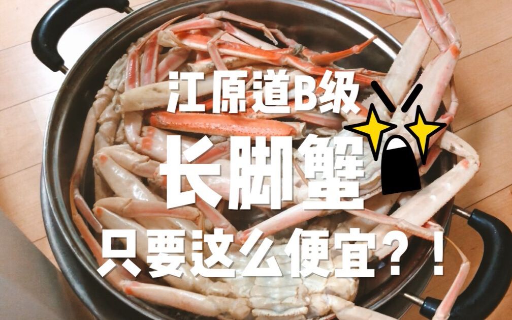 【江原道长脚蟹】这么便宜?!|BariVlog|送过来还是活的哔哩哔哩bilibili