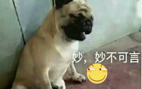 LOL蔚哔哩哔哩bilibili