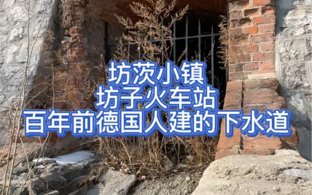 不用去青岛,德国人一百多年前建的下水道坊茨小镇就有,就在坊子火车站