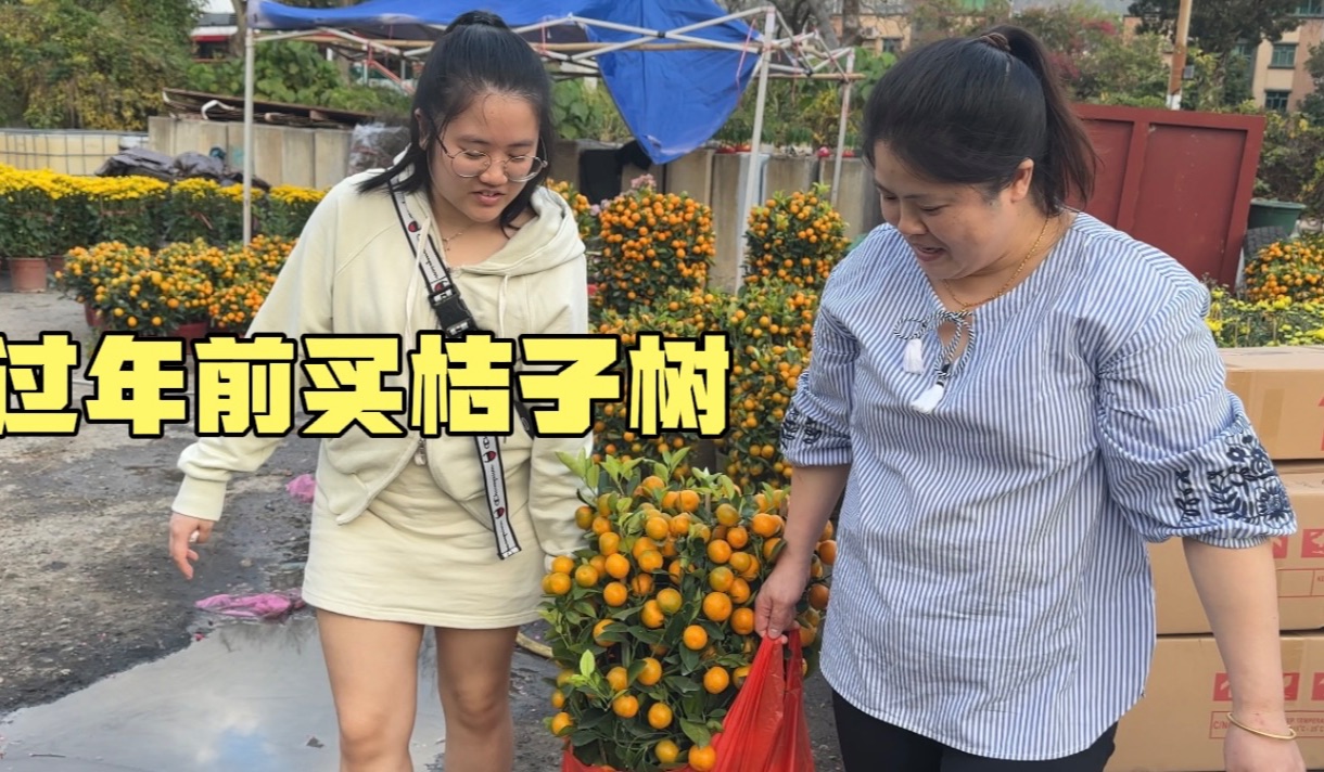 快要过年了,华华和老公女儿一起逛香港花市,买两盆桔子树放门前哔哩哔哩bilibili