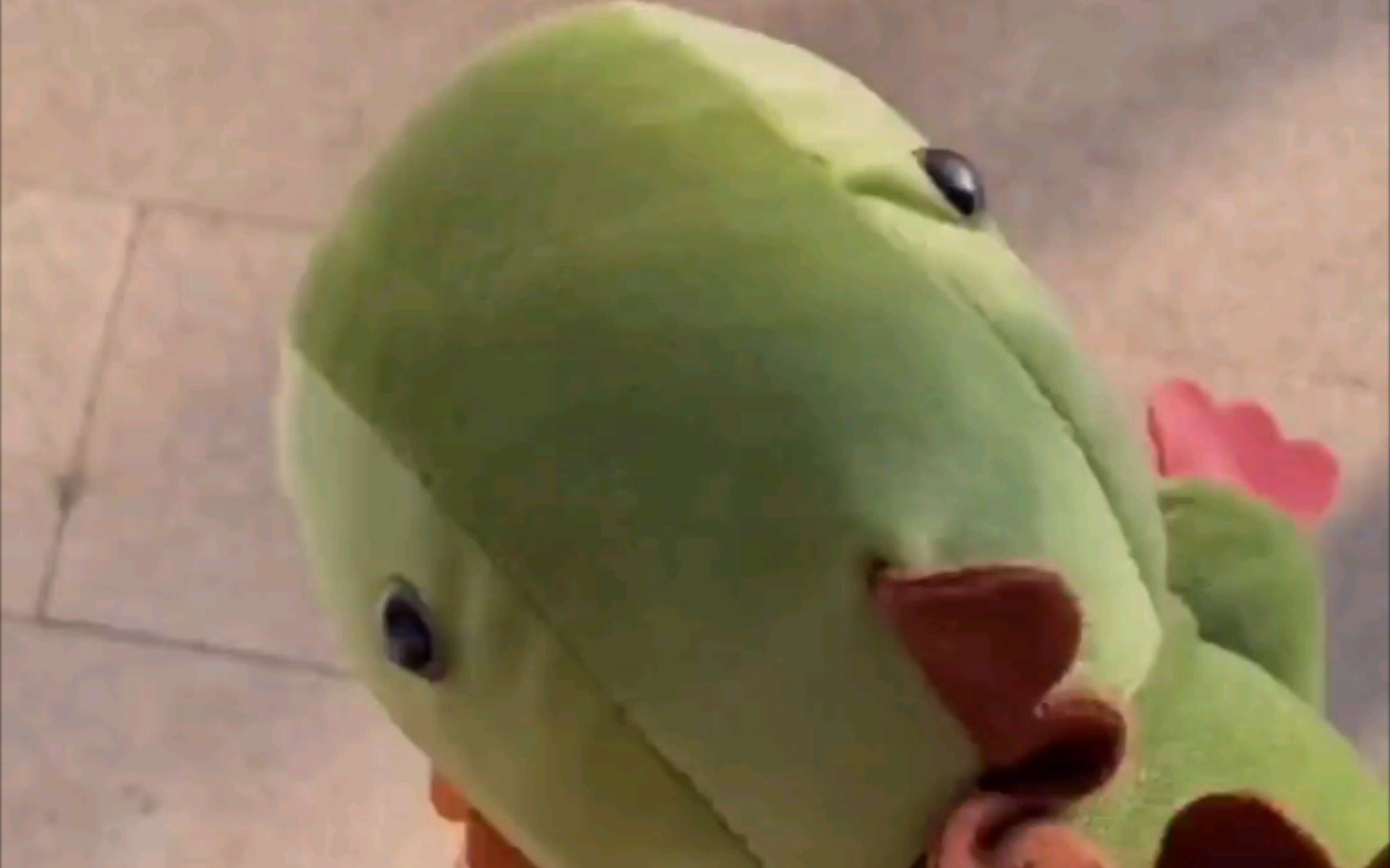 可爱屁本草纲目翻唱