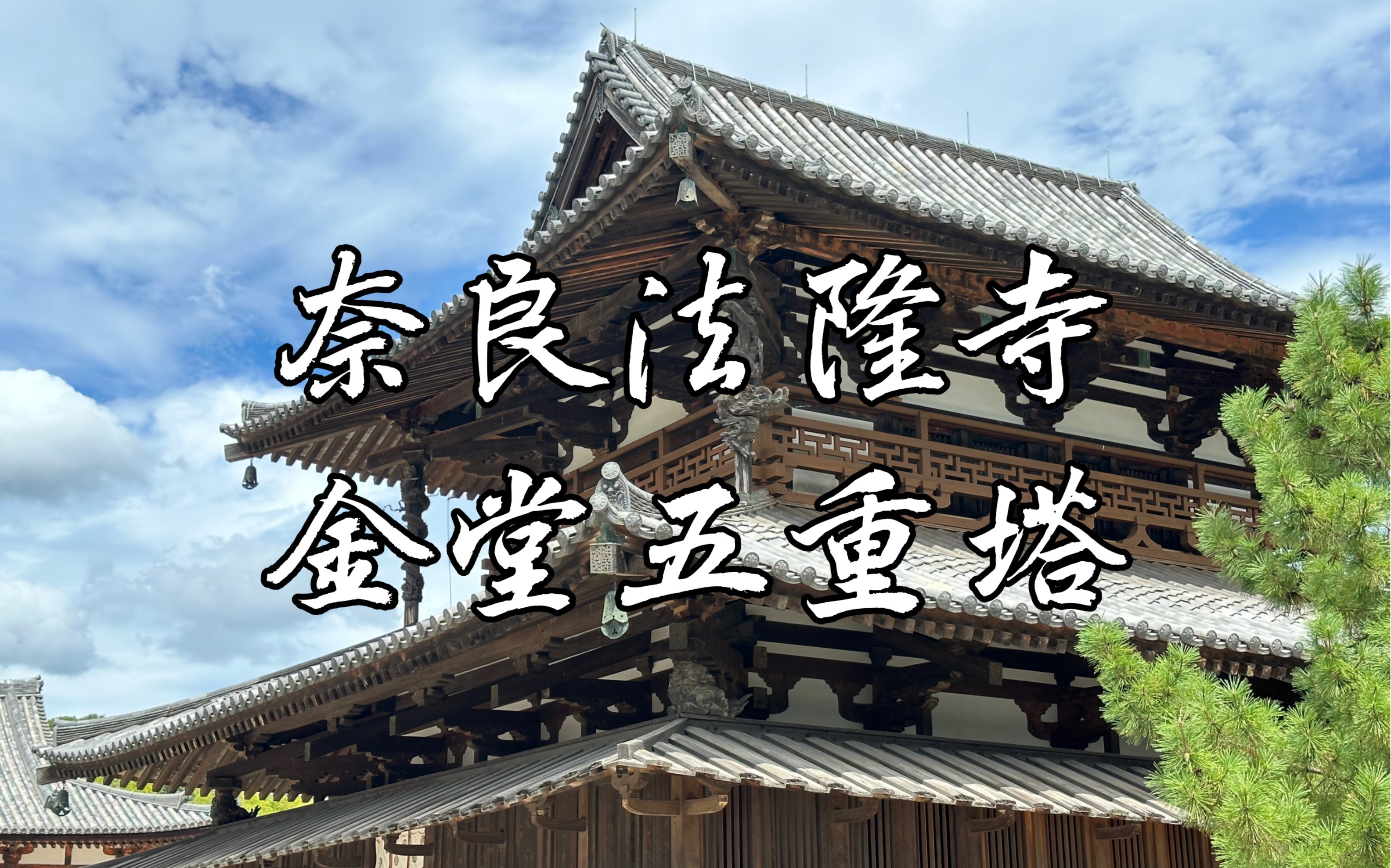 【奈良记忆】奈良法隆寺的旅行记录之一,遗风犹在,奈良唐代古建筑,多少唐代建筑风格明显,奈良法隆寺金堂与五重塔哔哩哔哩bilibili