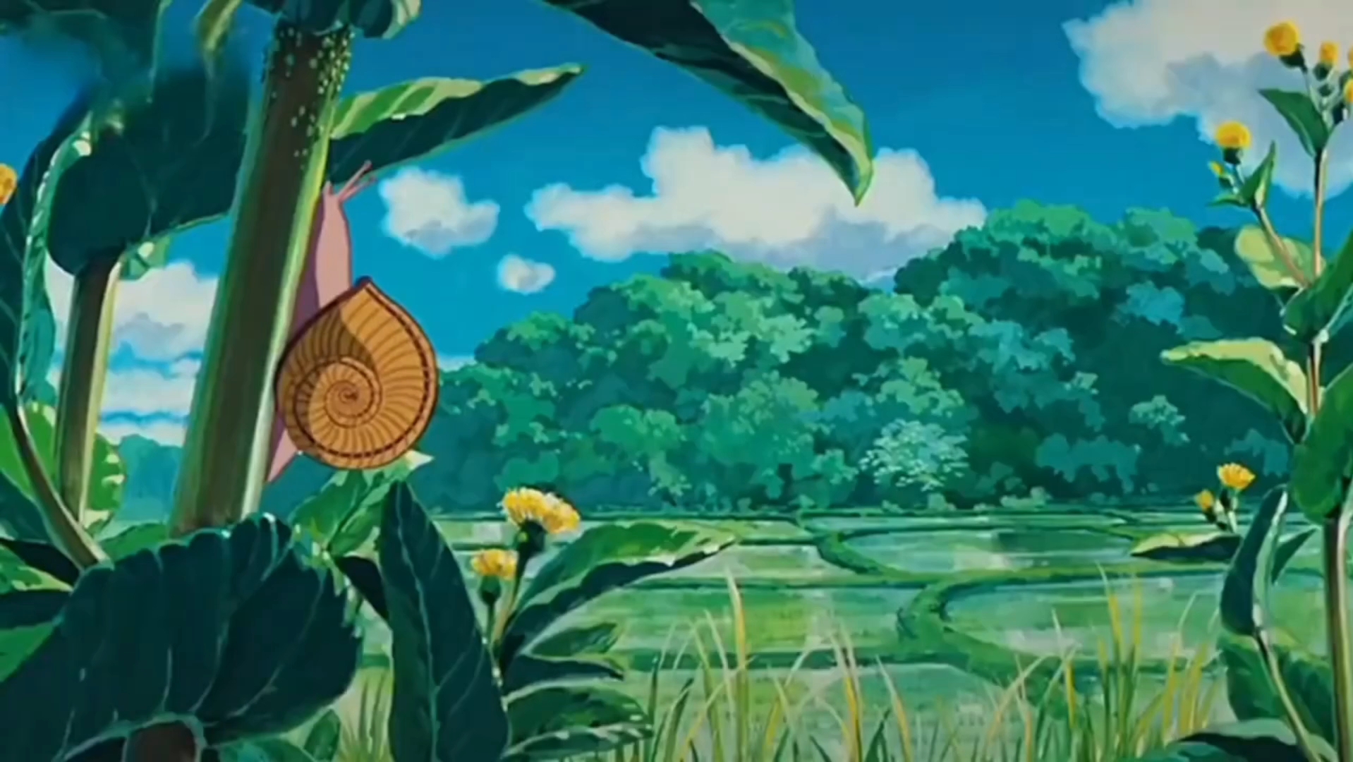 宫崎骏电影里的夏天