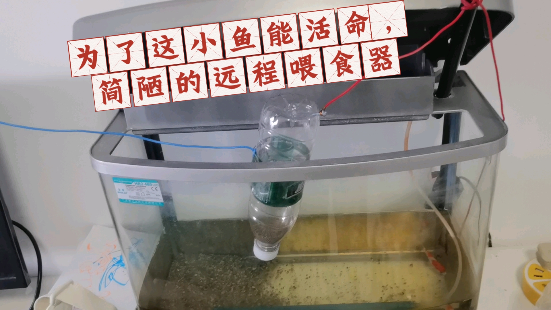 矿泉水瓶做小鱼过程图片