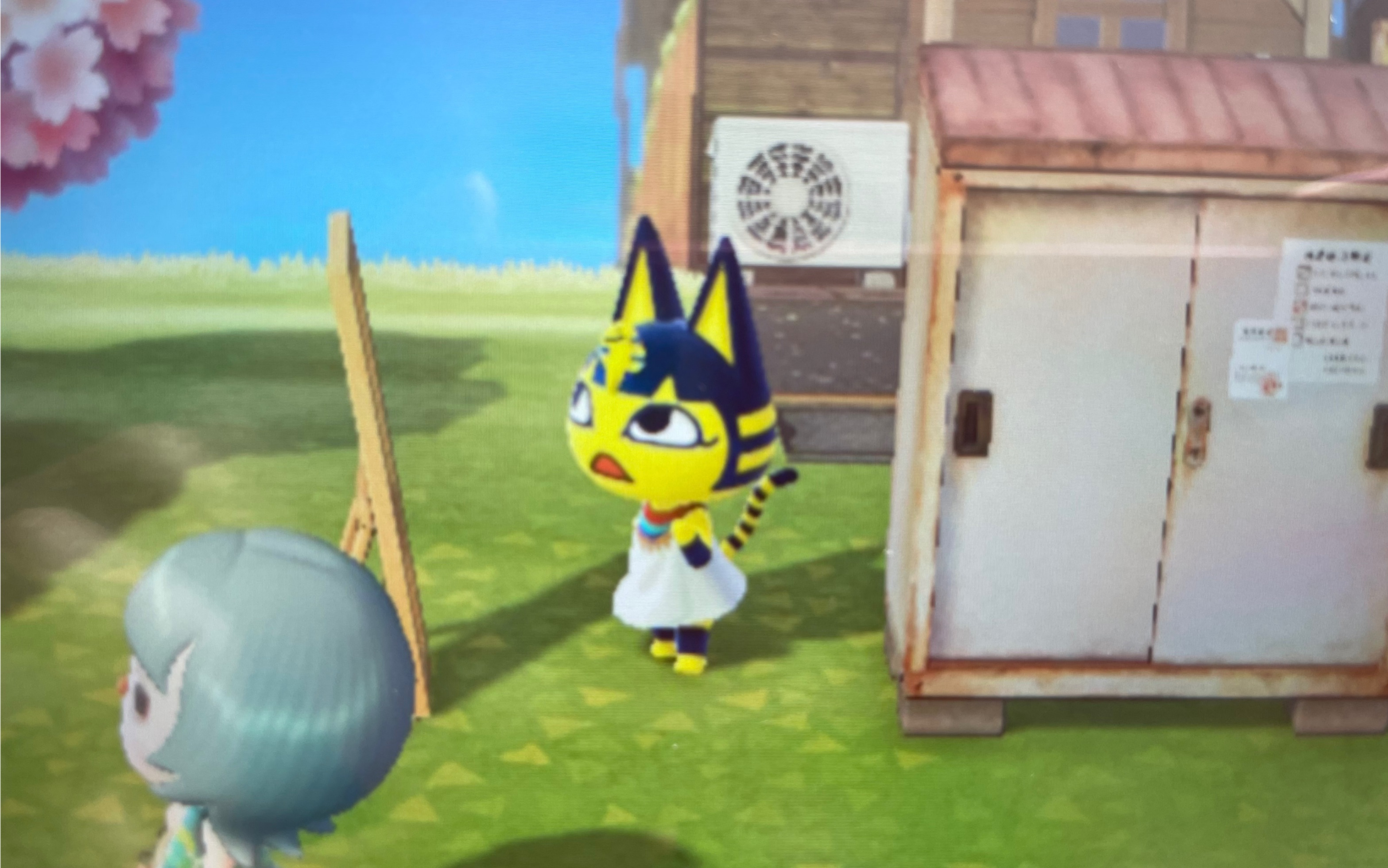 【动森】不愧是艳后 照镜子臭美还摆pose_动物森友会