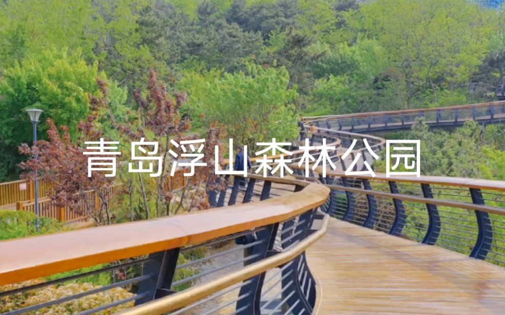 青岛浮山森林公园