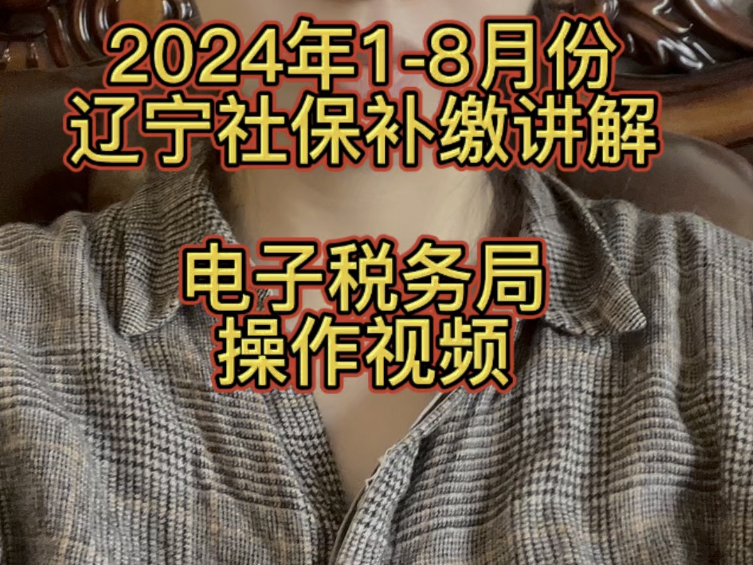 2024年18月份辽宁社保补缴讲解(电子税务局操作视频)哔哩哔哩bilibili