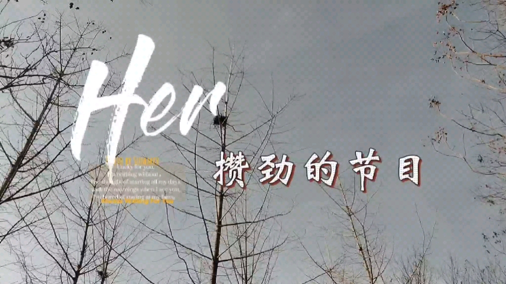 对口型无人区之攒劲的节目