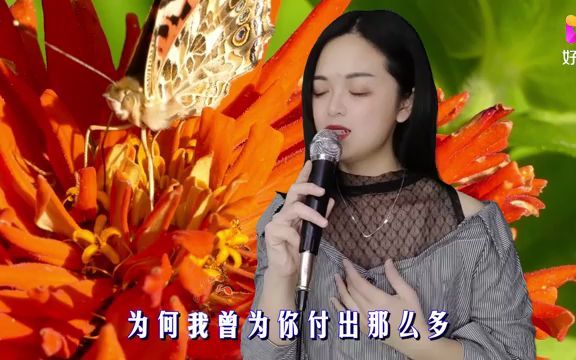 [图]一首伤感情歌《宁愿你从未爱过我》只怪自己对你太执着，伤感动听