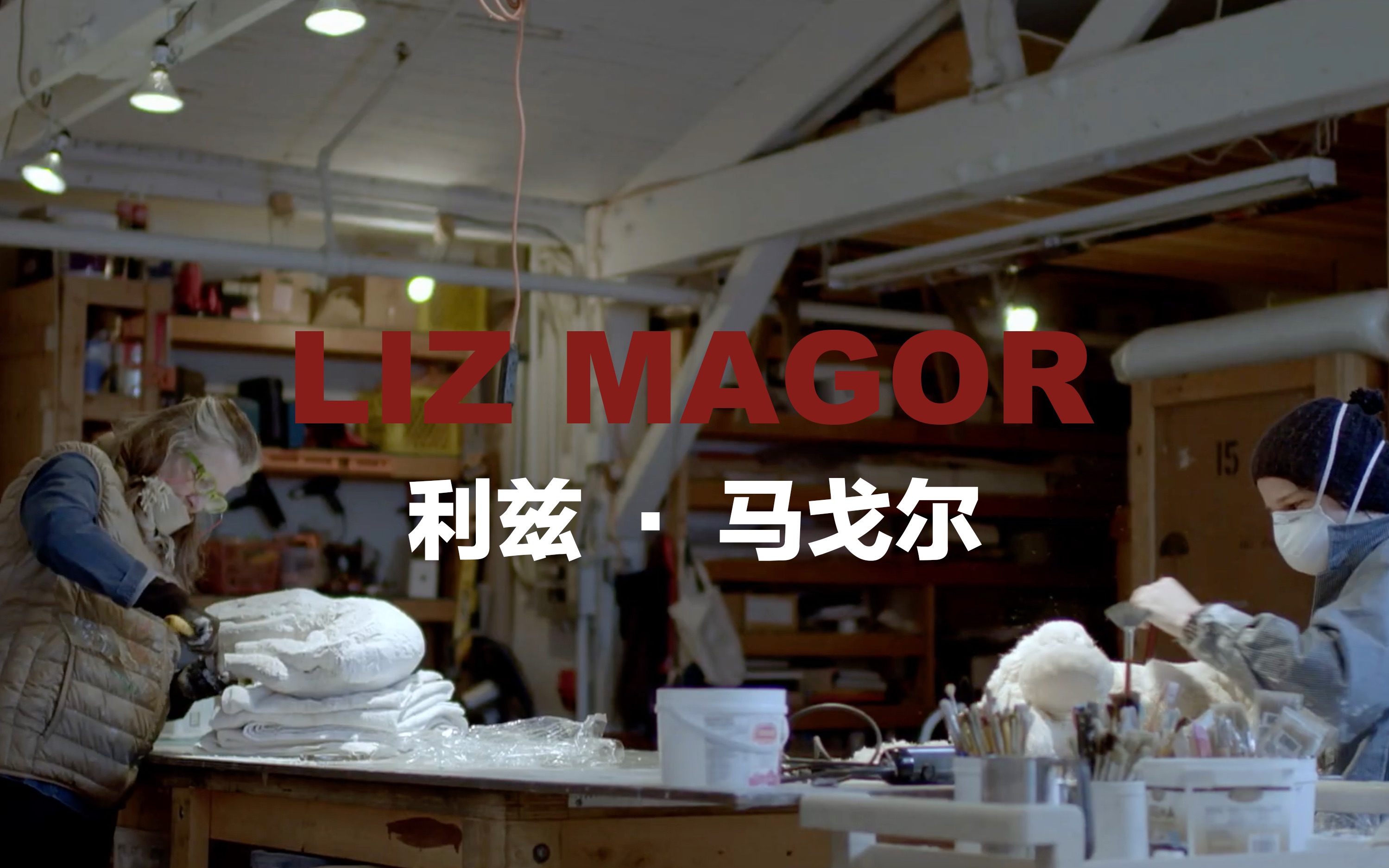 Liz Magor利兹ⷩ鬦ˆˆ尔加拿大温哥华的视觉艺术家/雕塑/静物/野生动植物/家具用品哔哩哔哩bilibili